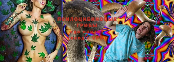 винт Алексин