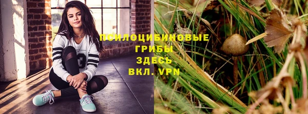 кокаин колумбия Пересвет