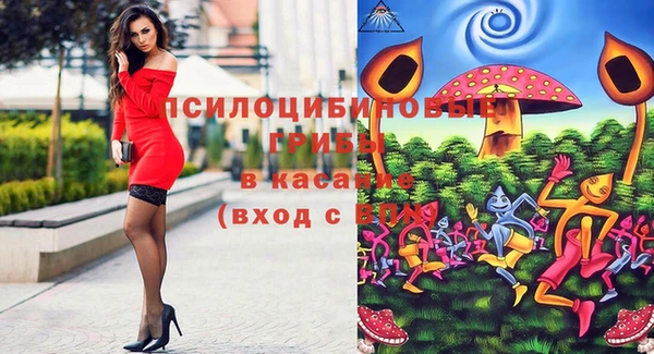 первитин Алексеевка